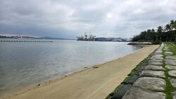 Jalan Loyang Besar (D17), Condominium #504237971